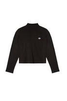 Dickies-Mapleton High Neck LS-T-Shirts-6-roqelvaxirum.shop