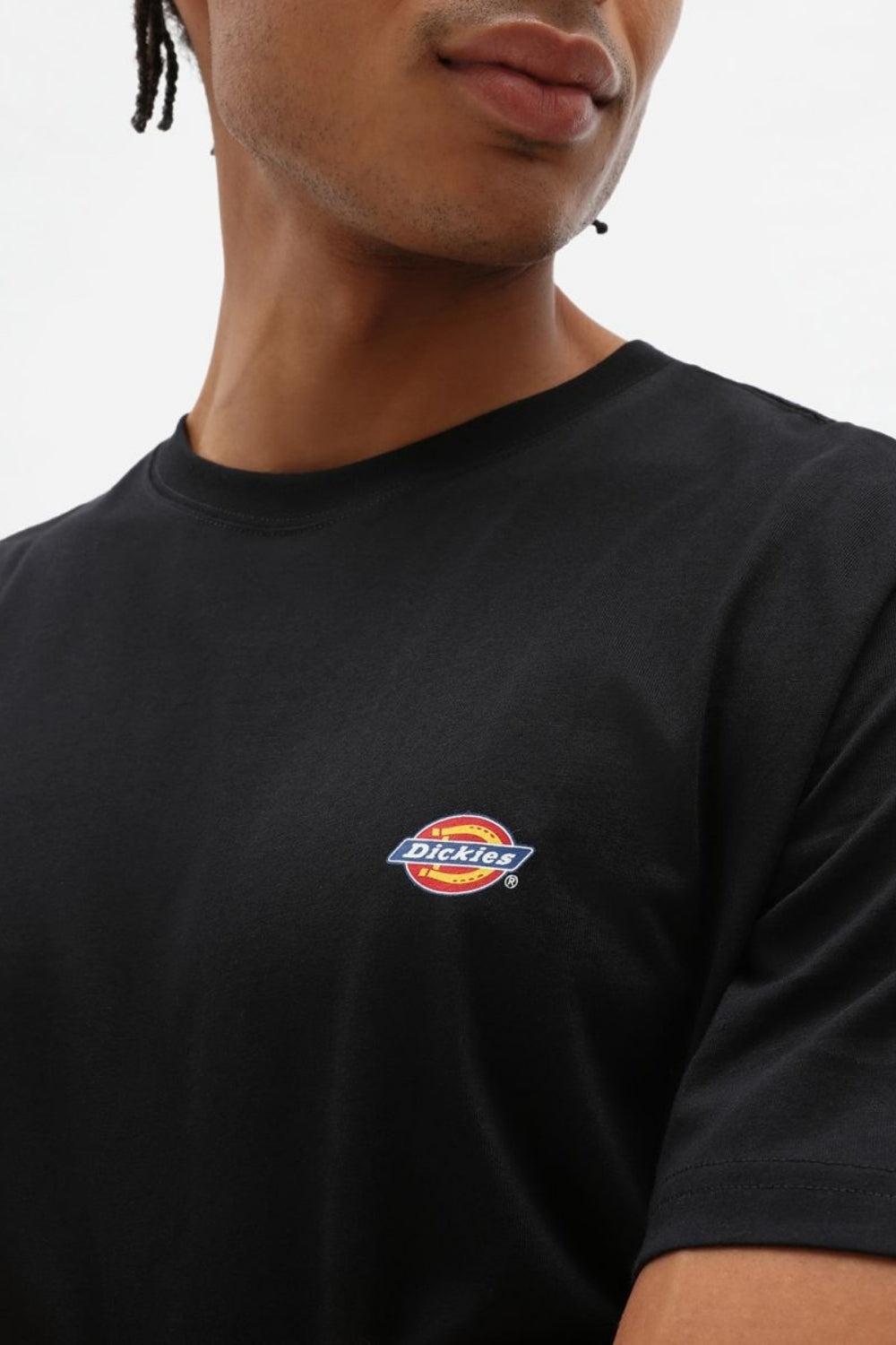 Dickies-Mapleton Ss Tee Black-T-Shirts-2-roqelvaxirum.shop