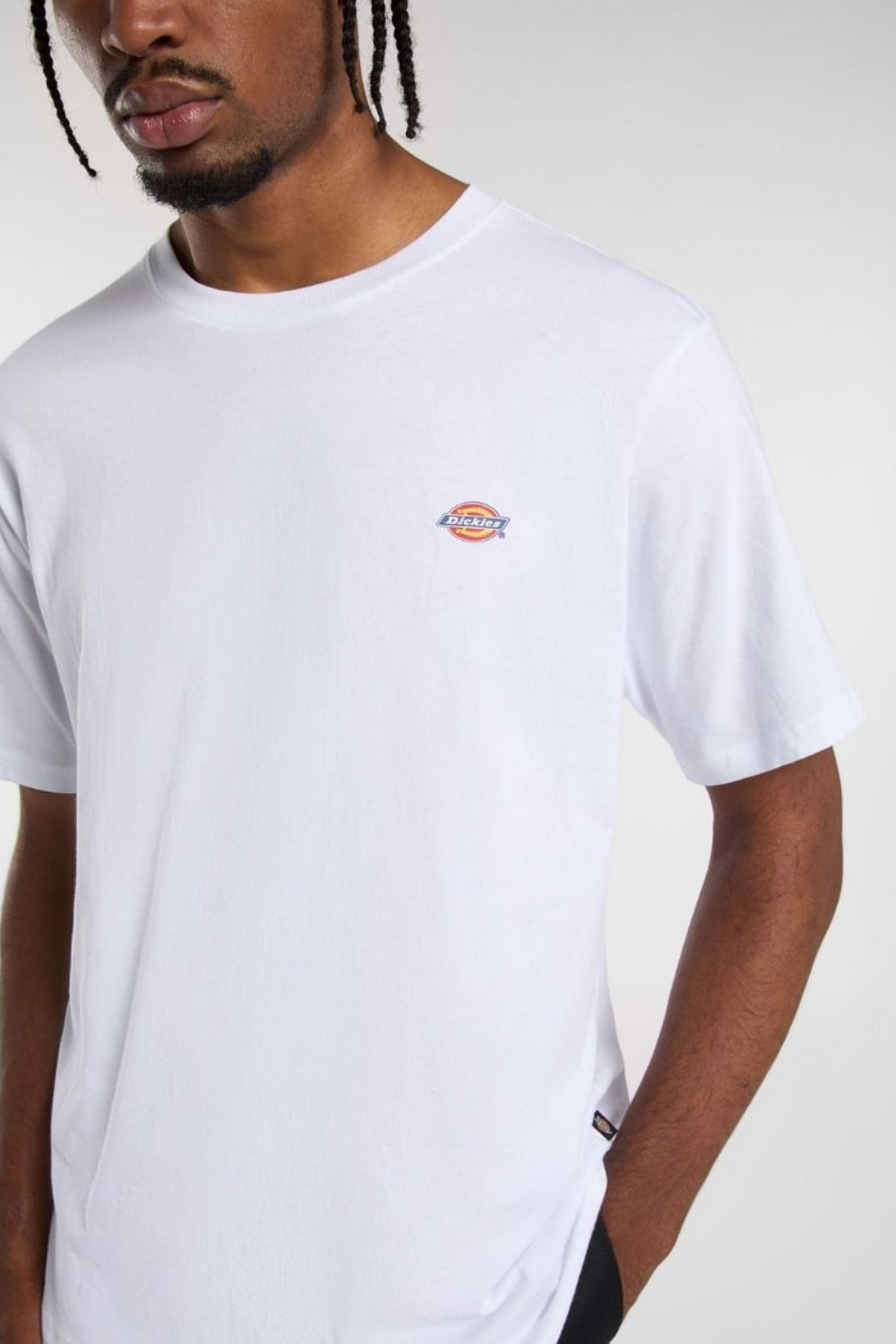 Dickies-Mapleton Ss Tee White-T-Shirts-4-roqelvaxirum.shop