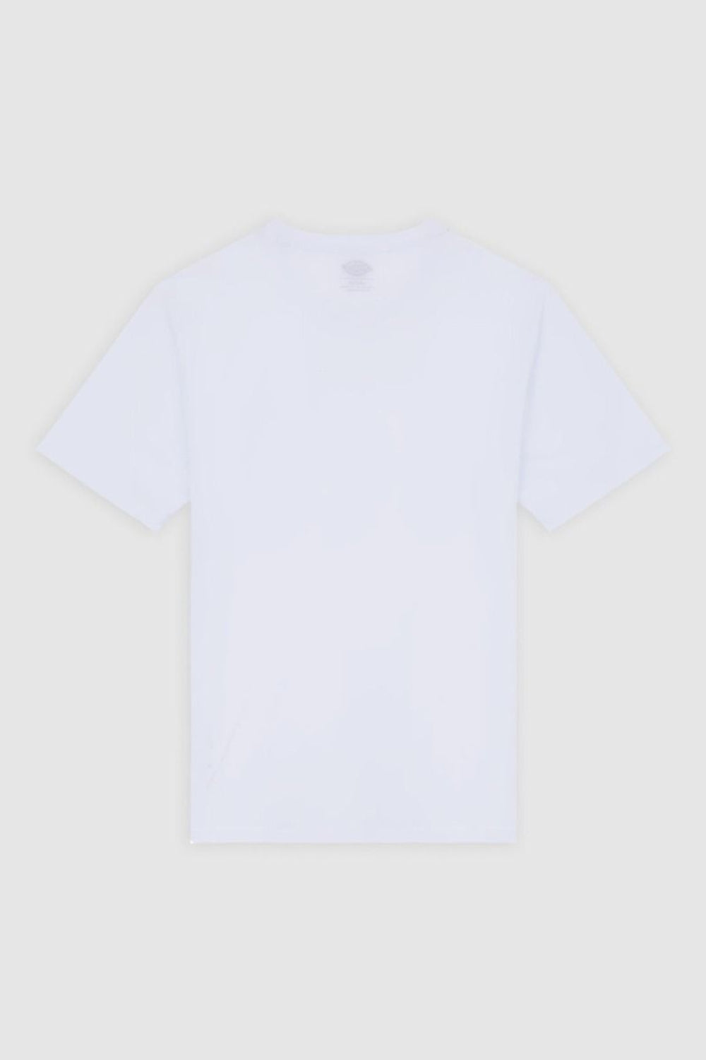 Dickies-Mapleton Ss Tee White-T-Shirts-6-roqelvaxirum.shop