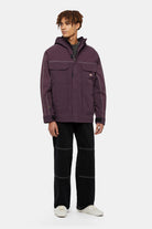 Dickies-Ronan Hooded Jacket Plump Perfect-Mont-3-roqelvaxirum.shop