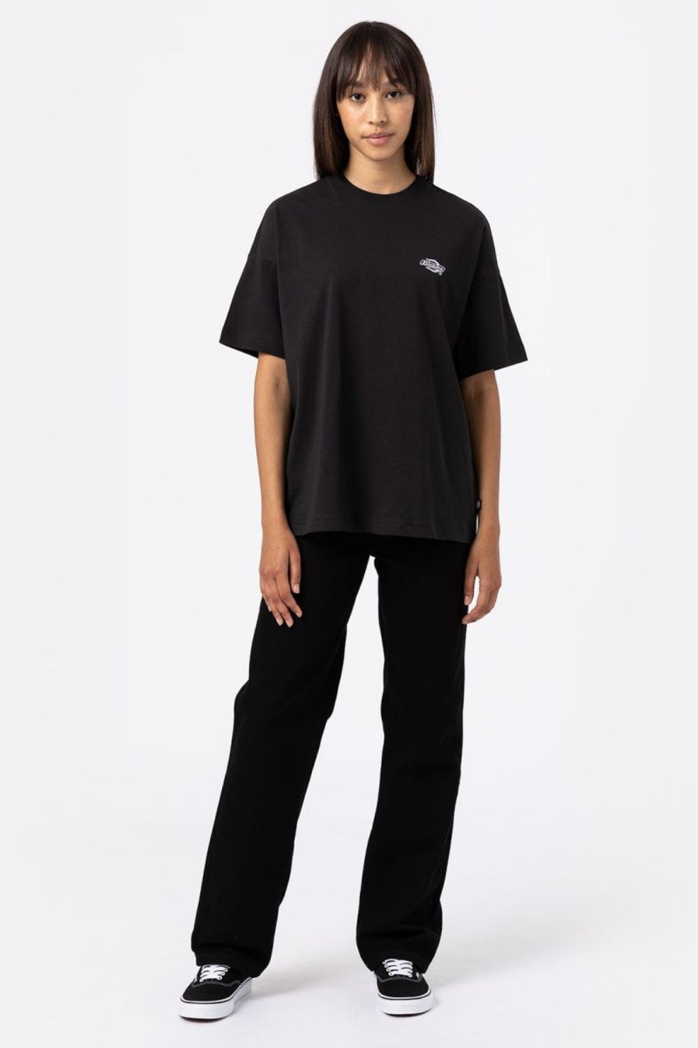Dickies-Summerdale SS Tee Black-T-Shirts-1-roqelvaxirum.shop