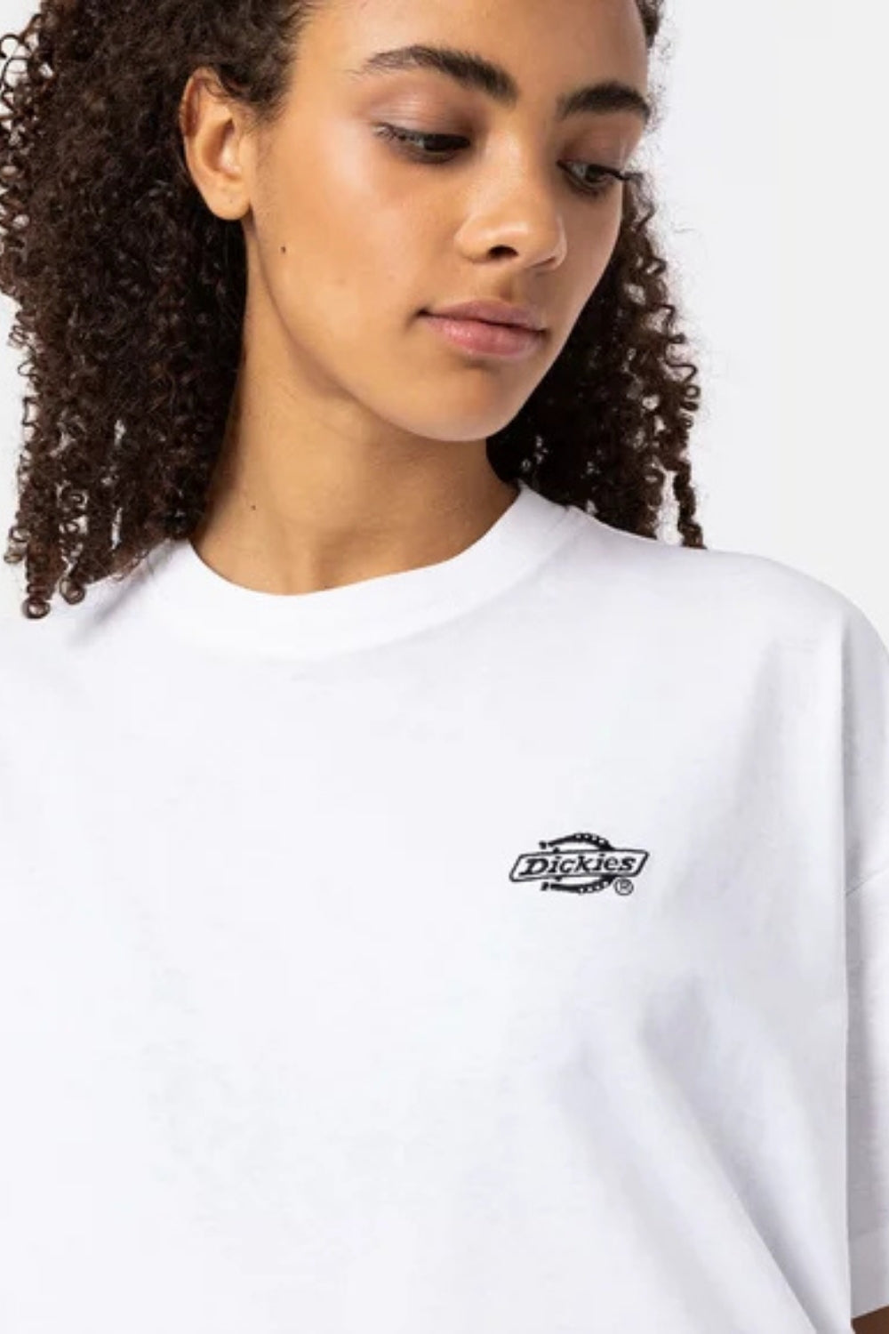 Dickies-Summerdale SS White Tee-T-Shirts-8-roqelvaxirum.shop