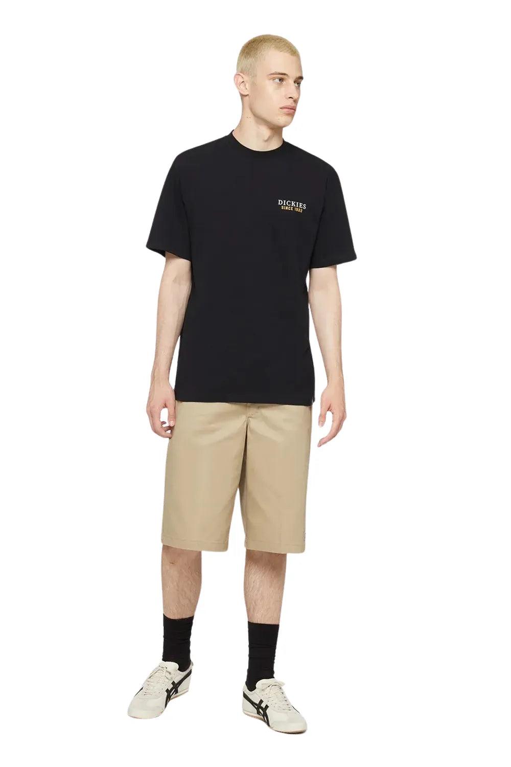 Dickies-Westmoreland Tee SS Black-T-Shirts-5-roqelvaxirum.shop