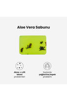 Dionesse-Aloevera Sabunu-Sabun-2-roqelvaxirum.shop