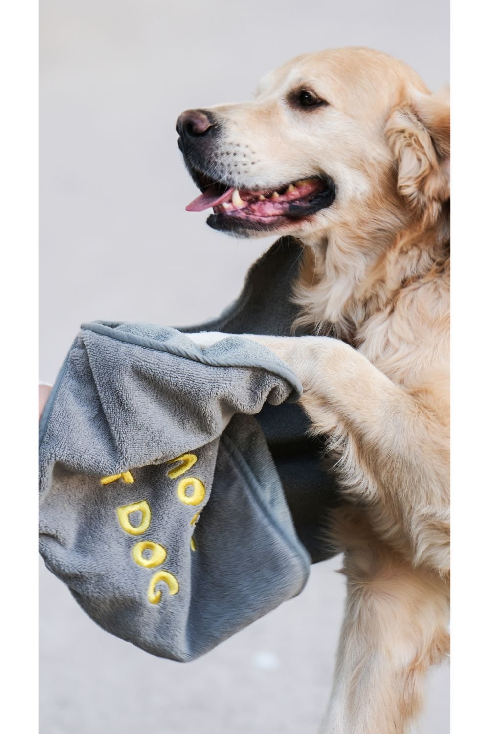 Eliphe-Eliphe Pet Havlusu-Köpek-3-roqelvaxirum.shop
