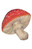 Ürün Görseli