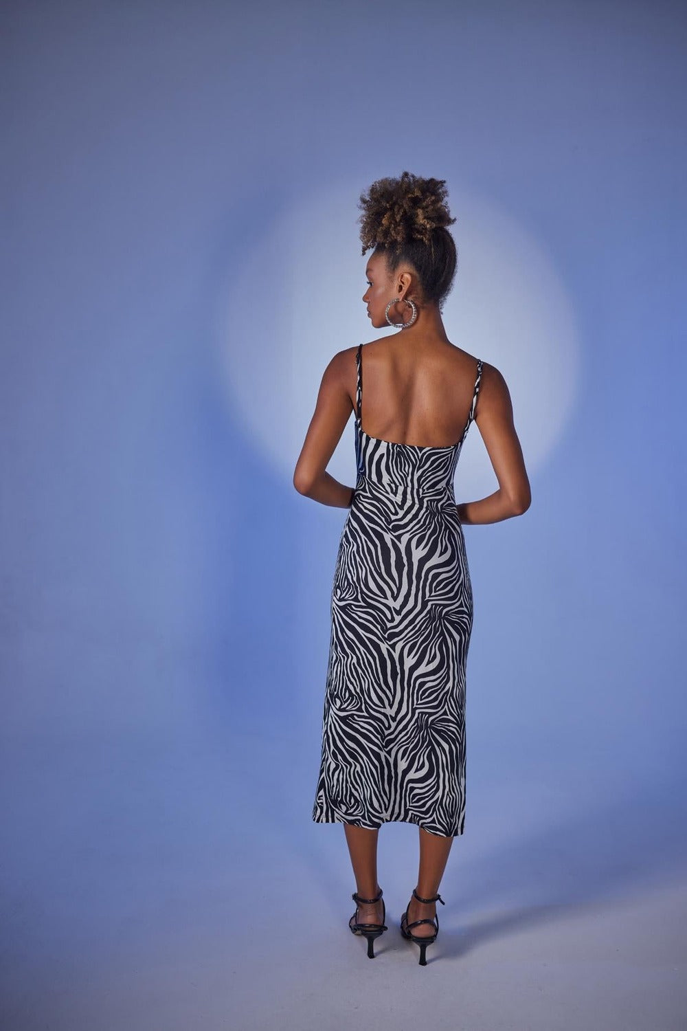 Holly Lolly-Lotus Elbise, Siyah Zebra Desenli-Elbise-4-roqelvaxirum.shop