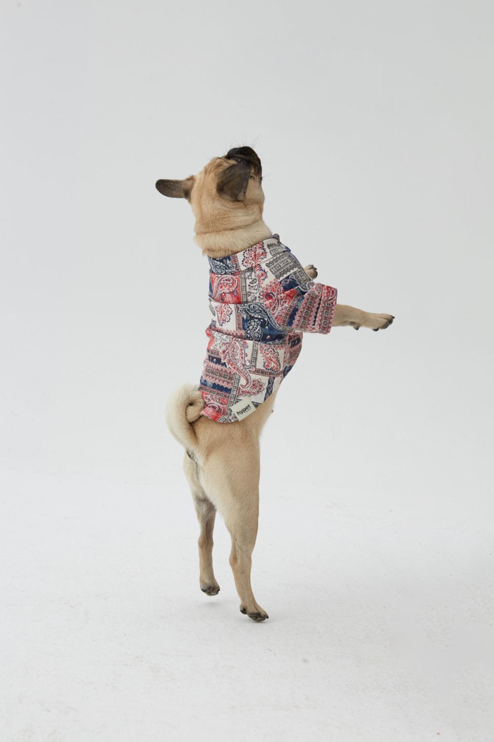 Hypet Fashion-Patchwork Gömlek-Köpek-4-roqelvaxirum.shop