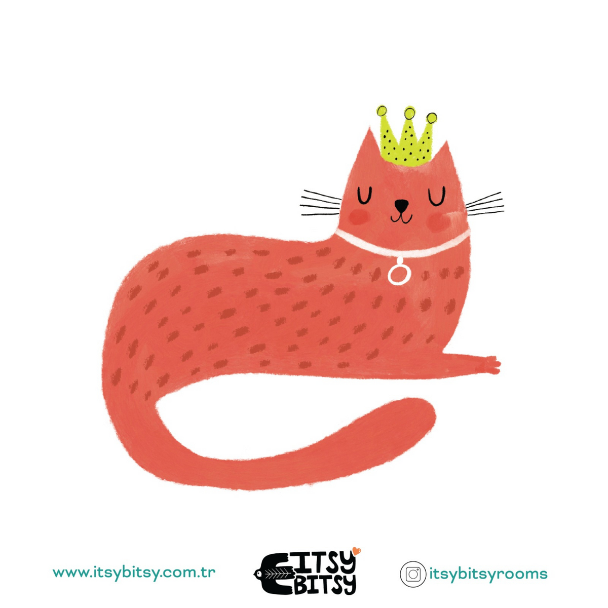 Kitty Of Queens Pamuk Saten Pembe Çocuk Çarşaf Seti 90X190Cm