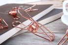 Kayigo-Tiny Paslanmaz çelik Mandal Dörtlü Rose Gold-Ofis Düzenleyicileri-2-roqelvaxirum.shop