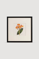 Lasttouch-Plant Serisi Tablo No:3-Tablo-1-roqelvaxirum.shop