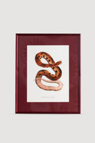 Lasttouch-Serpent Serisi Tablo No:6-Tablo-1-roqelvaxirum.shop