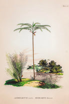 Lasttouch-Tropical Serisi Tablo No:1-Tablo-2-roqelvaxirum.shop