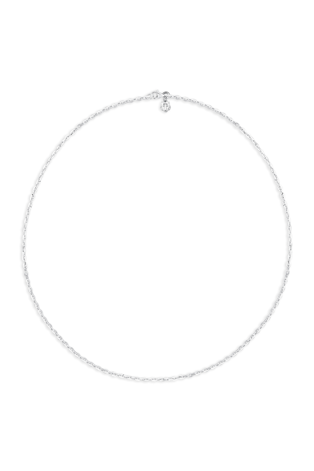 Les Tigres-Kaplan Charm Palm Zincir Kolye-Kolye-1-roqelvaxirum.shop