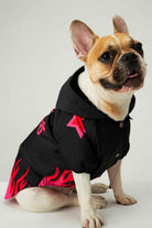 Little Monsters-Black Fire Yağmurluk-Köpek-5-roqelvaxirum.shop