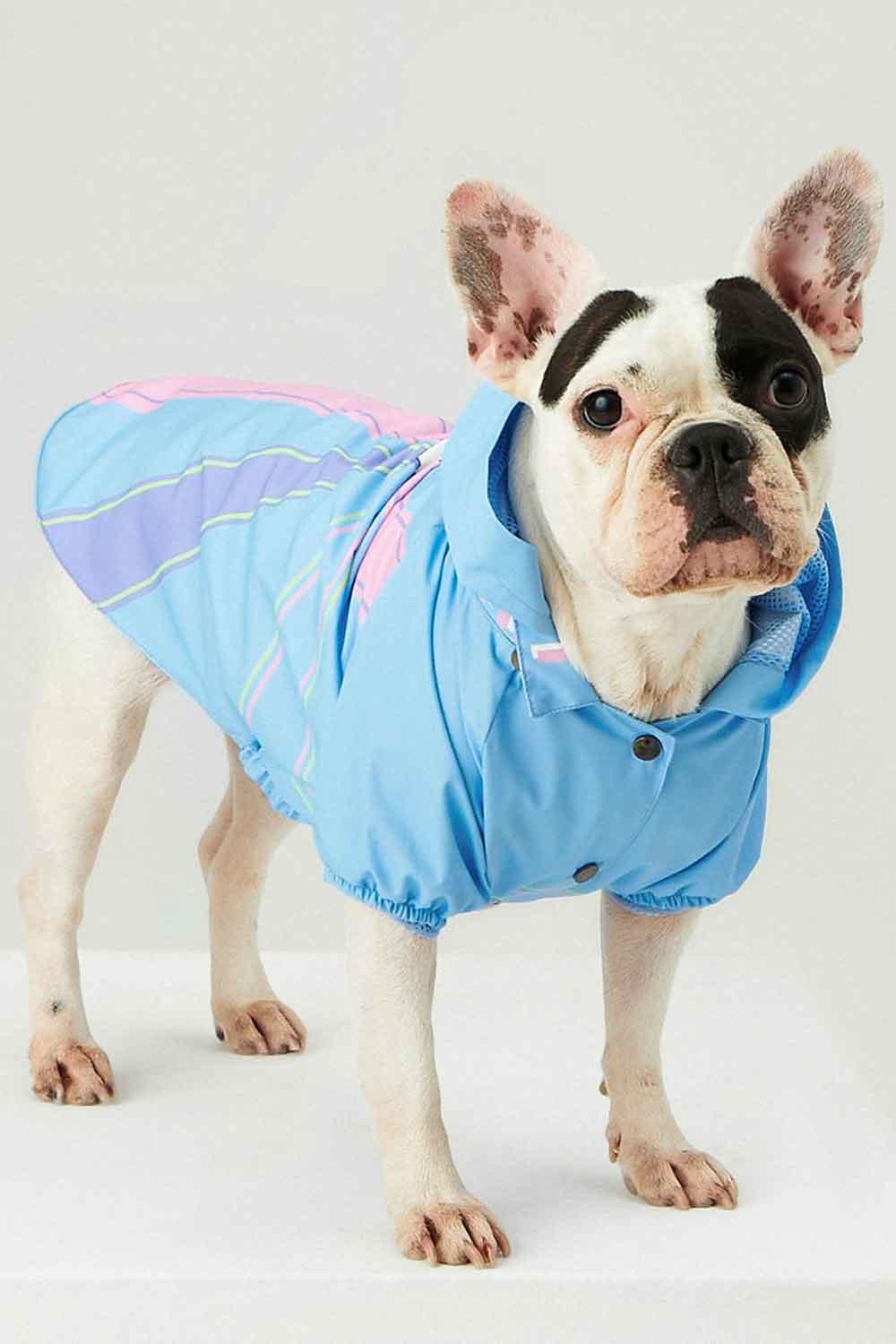 Little Monsters-Blue Single Cloud Yağmurluk-Köpek-2-roqelvaxirum.shop