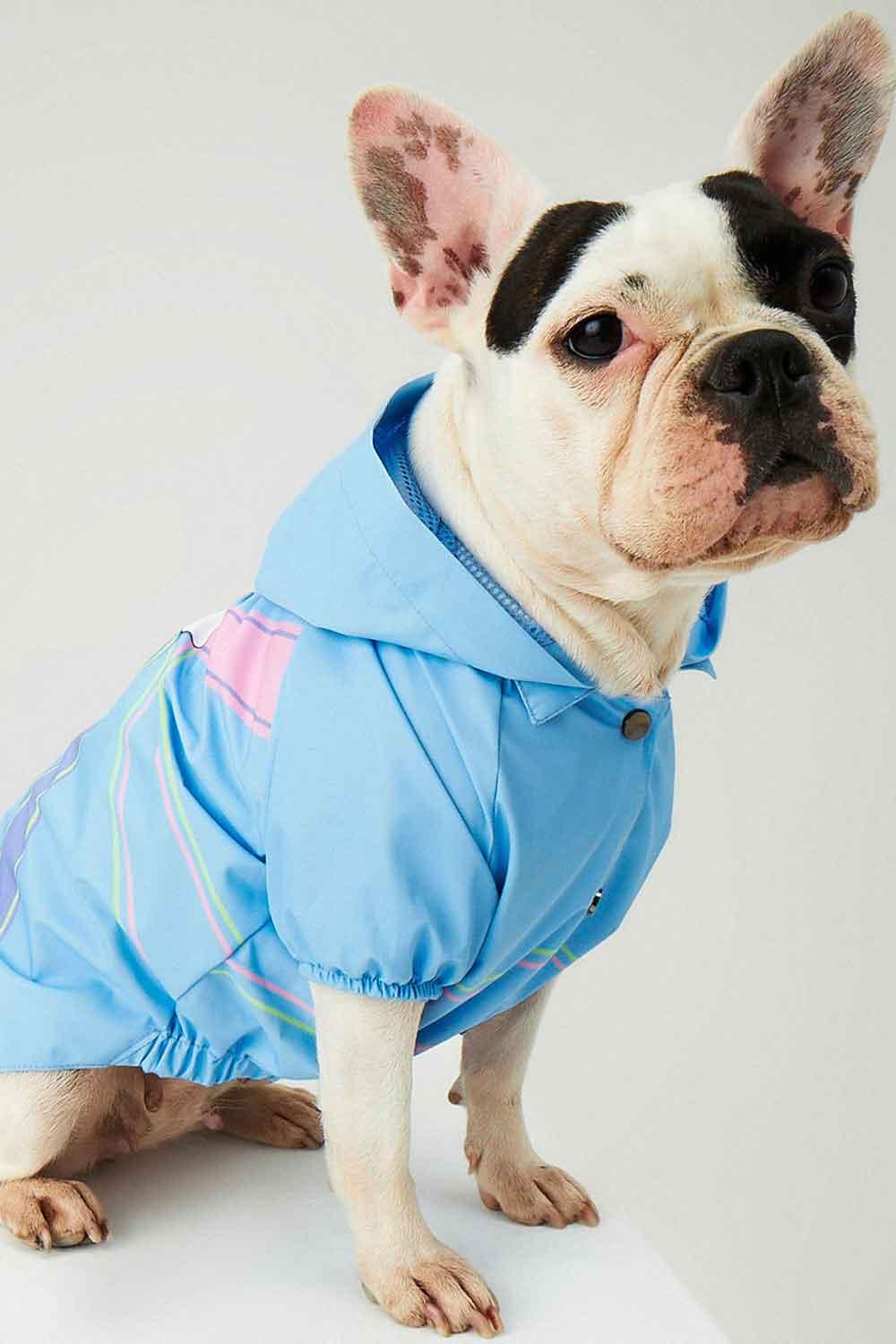 Little Monsters-Blue Single Cloud Yağmurluk-Köpek-3-roqelvaxirum.shop