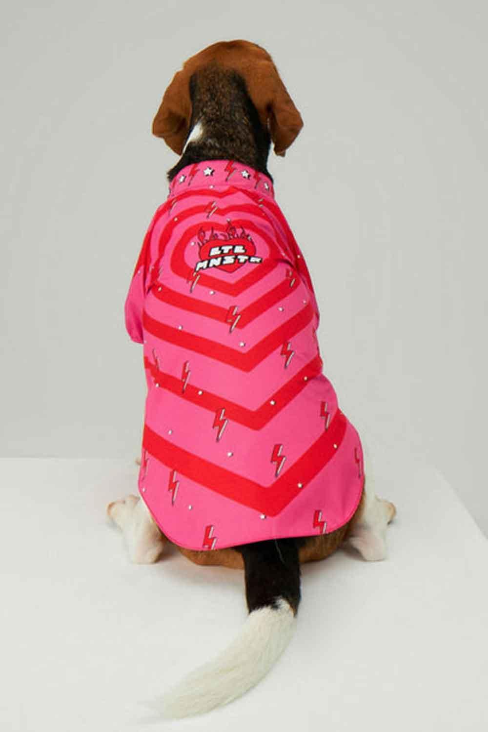 Little Monsters-Heart On Fire Yağmurluk-Köpek-2-roqelvaxirum.shop