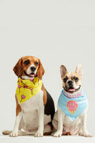 Little Monsters-Hearts Candy Bandana-Köpek-4-roqelvaxirum.shop
