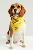 Little Monsters-Hearts Candy Bandana-Köpek-5-roqelvaxirum.shop