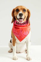 Little Monsters-LM Fire Bandana-Köpek-2-roqelvaxirum.shop