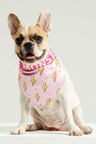 Little Monsters-Pink Flash Bandana-Köpek-4-roqelvaxirum.shop