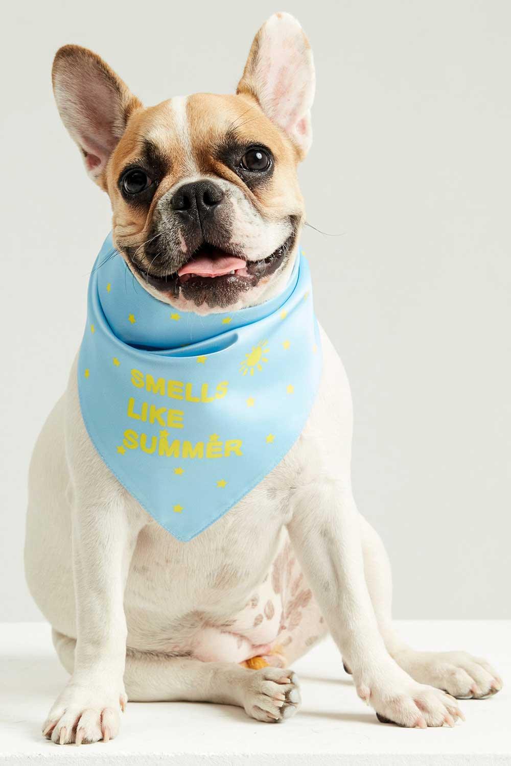 Little Monsters-Smells Like Summer Bandana-Köpek-2-roqelvaxirum.shop