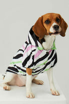 Little Monsters-Zebra Star Yağmurluk-Köpek-2-roqelvaxirum.shop