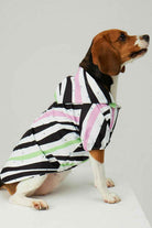 Little Monsters-Zebra Star Yağmurluk-Köpek-3-roqelvaxirum.shop