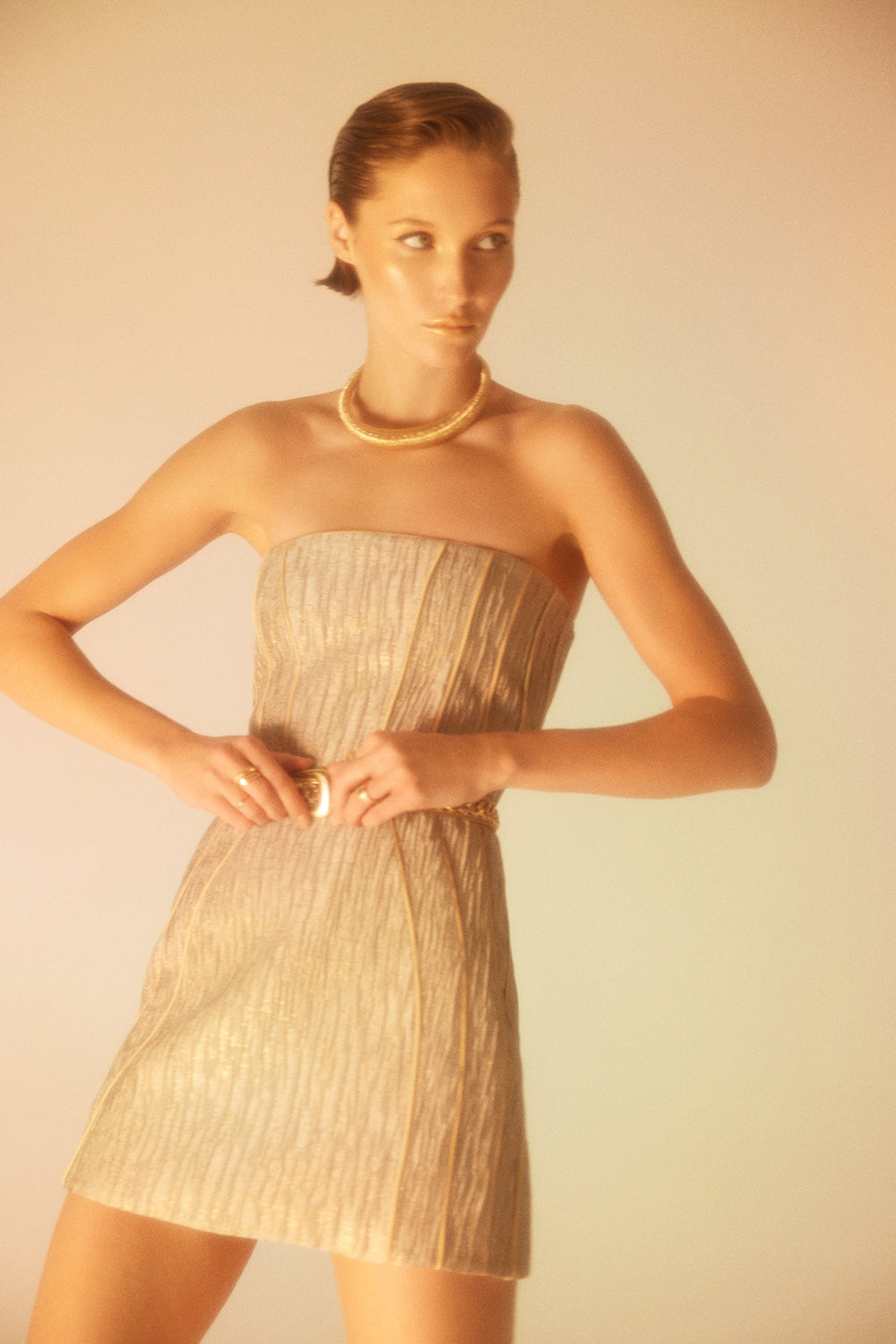 Lunaire Studio-Golden Shadows - Straplez Mini Elbise-Elbise-4-roqelvaxirum.shop