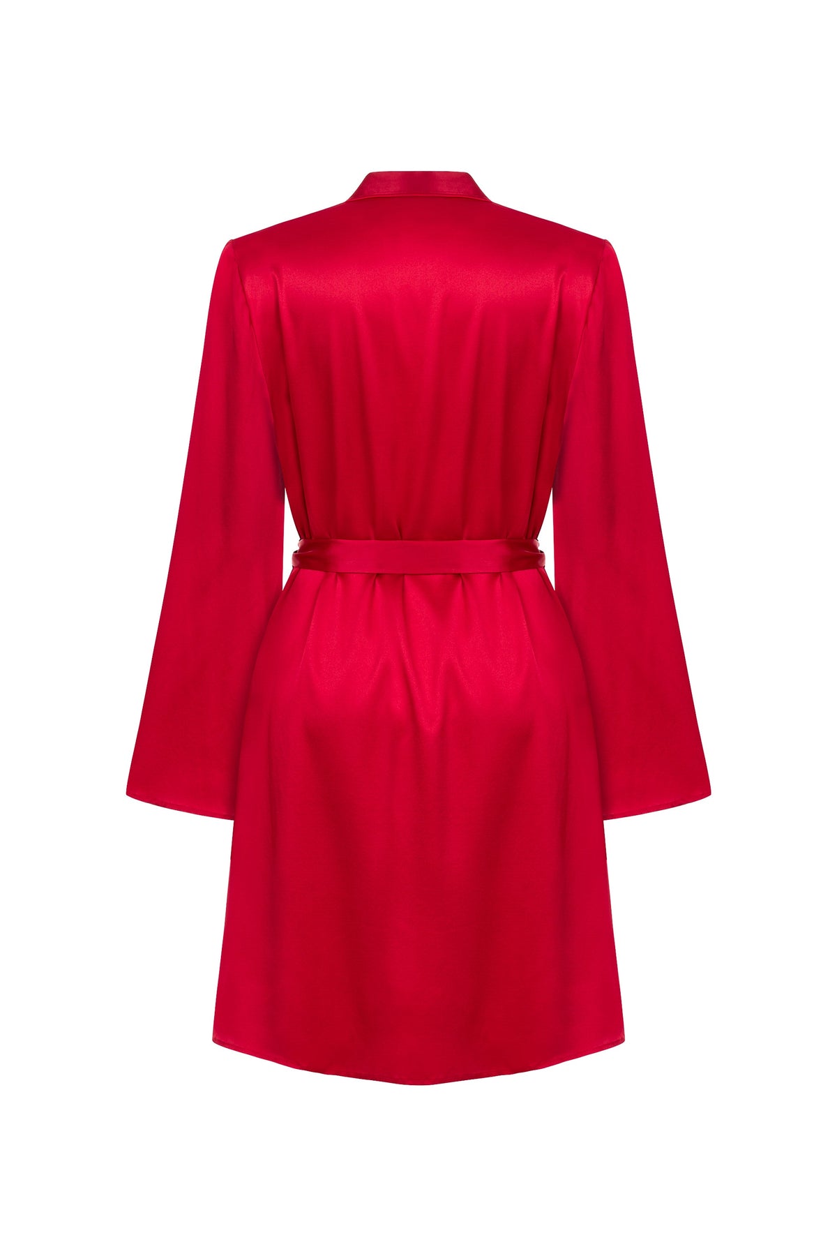Mers Silk-Anya Silk Robe-4-roqelvaxirum.shop