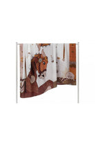 Mokoshe-Carousel & Beige-Şal & Fular-2-roqelvaxirum.shop