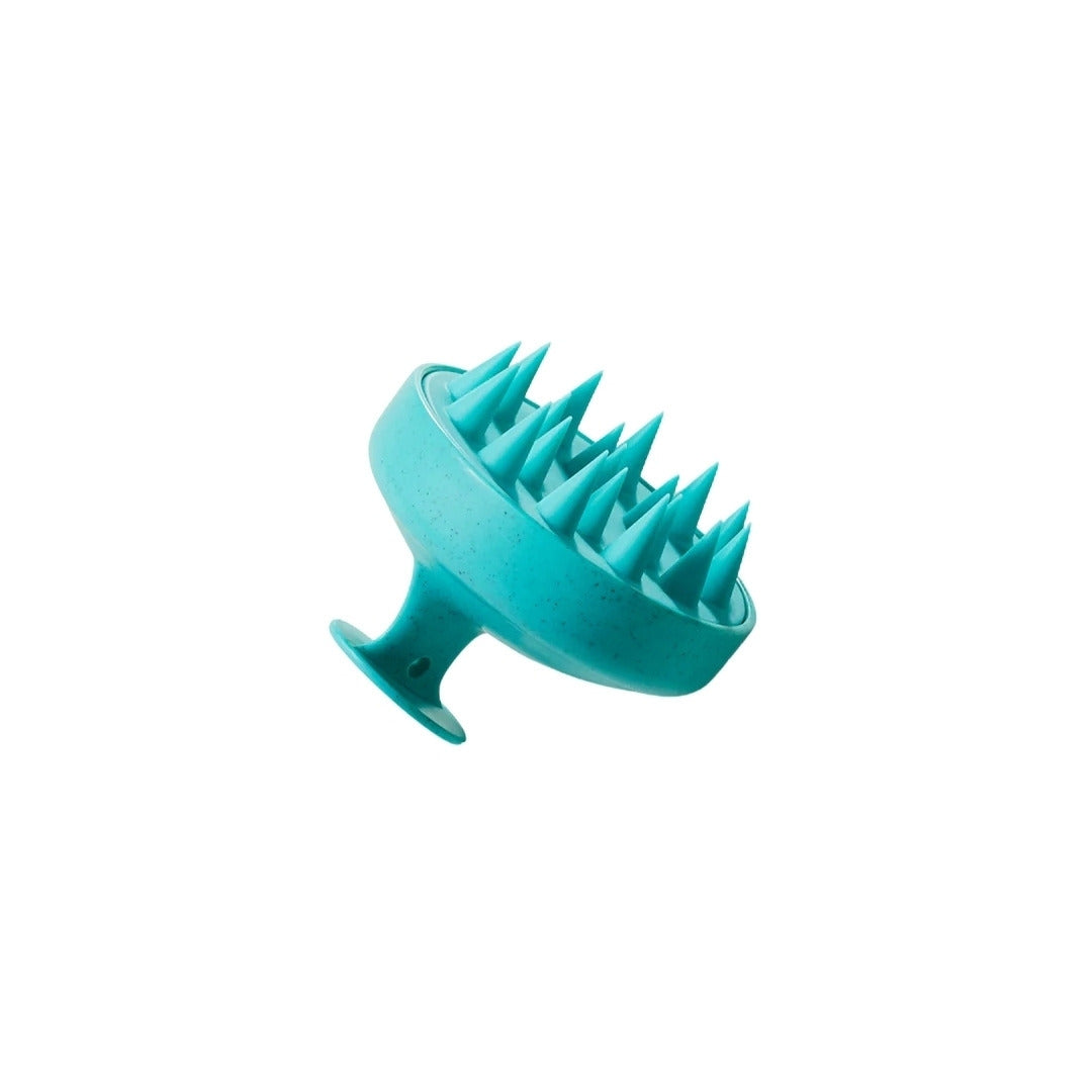 Scalp Discovery Kit
