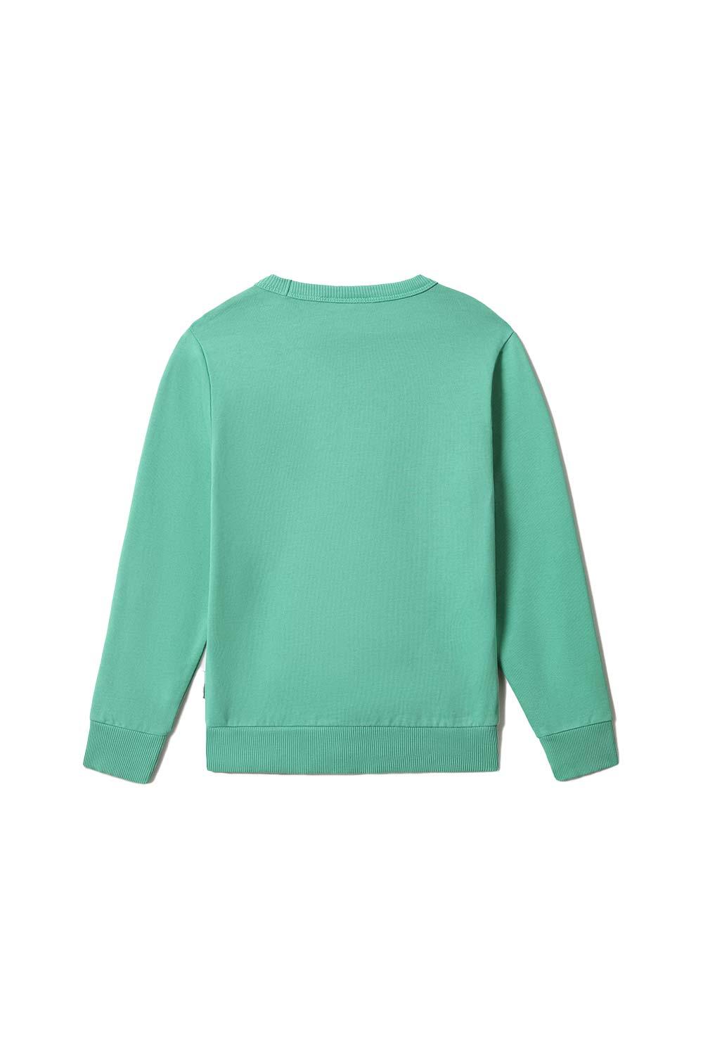 Napapijri-Kids B-Box C 1 Green Spruce-Sweatshirts & Hoodies-3-roqelvaxirum.shop