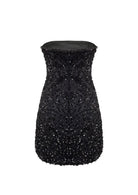 Nazlı Ceren-Casey Mini Payetli Elbise Siyah-Elbise-9-roqelvaxirum.shop