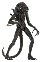 Neca-Aliens - Ultimate Aliens Warrior 1986 Aksiyon Figürü Kahverengi-Figürler-3-roqelvaxirum.shop