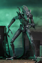 Neca-Aliens - Ultimate Aliens Warrior 1986 Aksiyon Figürü Kahverengi-Figürler-8-roqelvaxirum.shop