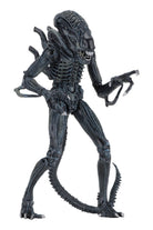 Neca-Aliens - Ultimate Aliens Warrior 1986 Aksiyon Figürü Mavi-Figürler-3-roqelvaxirum.shop