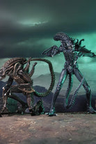 Neca-Aliens - Ultimate Aliens Warrior 1986 Aksiyon Figürü Mavi-Figürler-5-roqelvaxirum.shop
