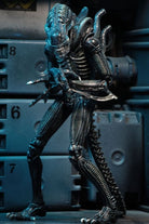 Neca-Aliens - Ultimate Aliens Warrior 1986 Aksiyon Figürü Mavi-Figürler-7-roqelvaxirum.shop