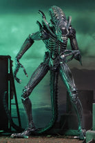 Neca-Aliens - Ultimate Aliens Warrior 1986 Aksiyon Figürü Mavi-Figürler-8-roqelvaxirum.shop