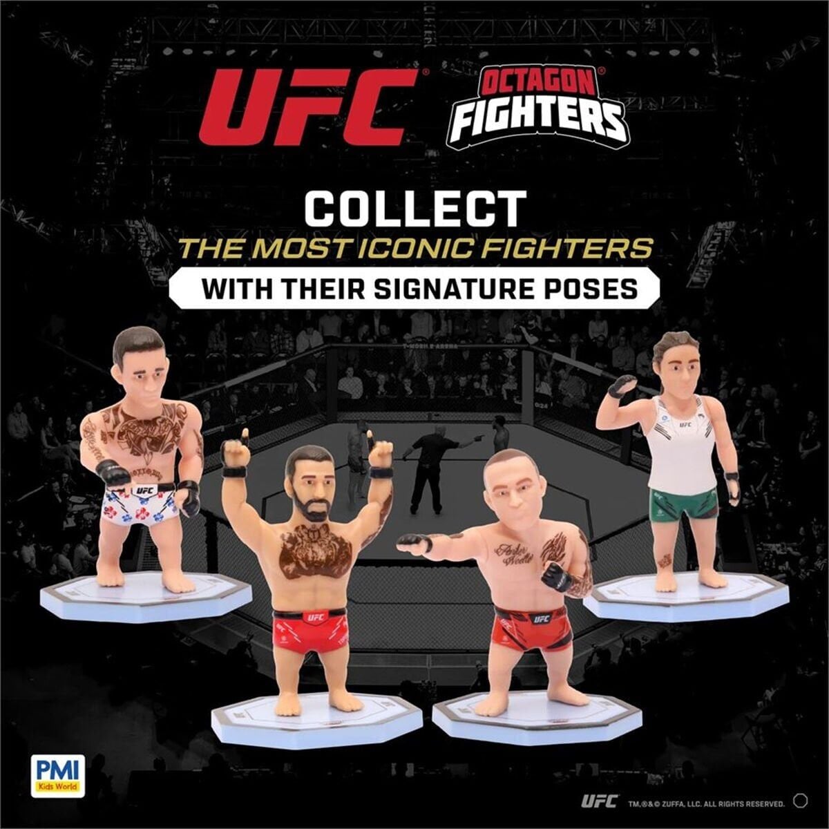 Pmi/Ufc2009
