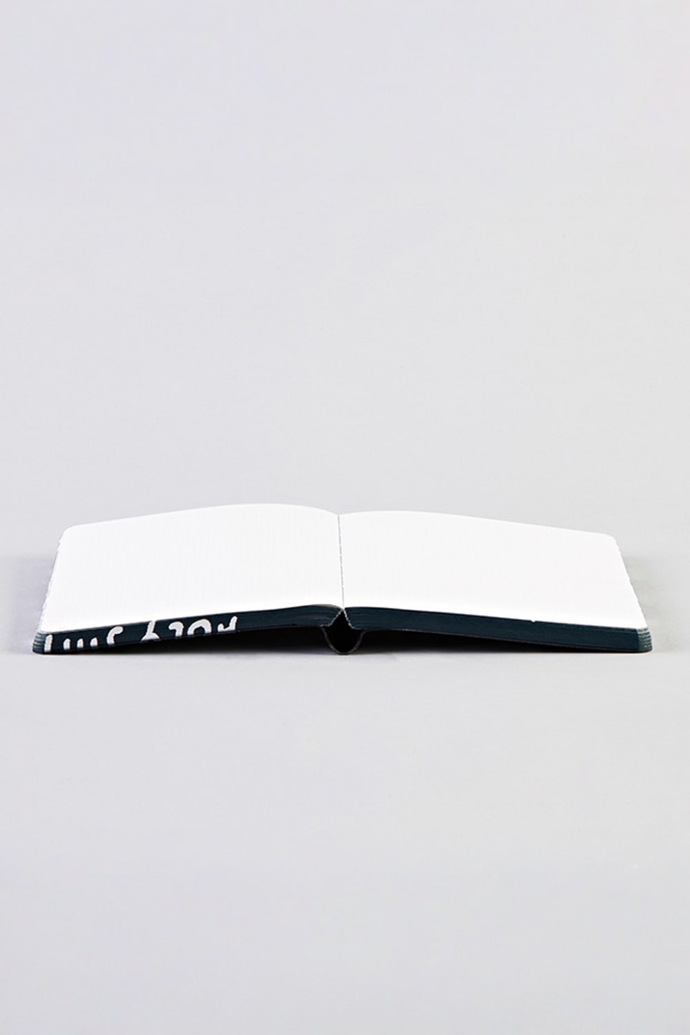 Nuuna-Nuuna Graphic S Defter - Holy Shit-Defter-3-roqelvaxirum.shop