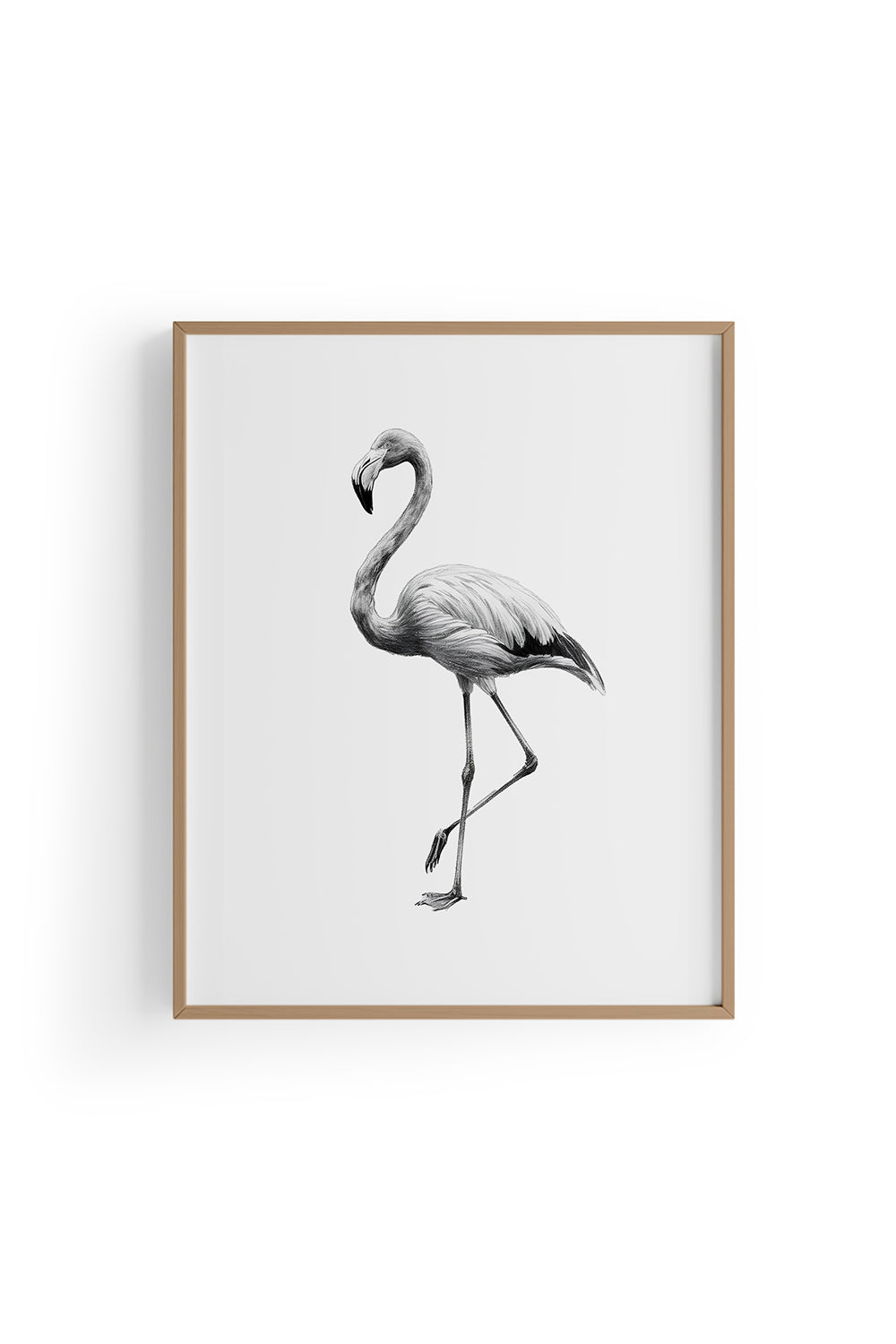 Karakalem Koleksiyonu Flamingo Posteri - 0