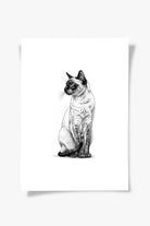 Karakalem Koleksiyonu Kedi Posteri - 4