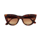 Okkia-Okkia Claudia Big Cat Güneş Gözlüğü Klasik Havana-Güneş Gözlüğü-1-roqelvaxirum.shop