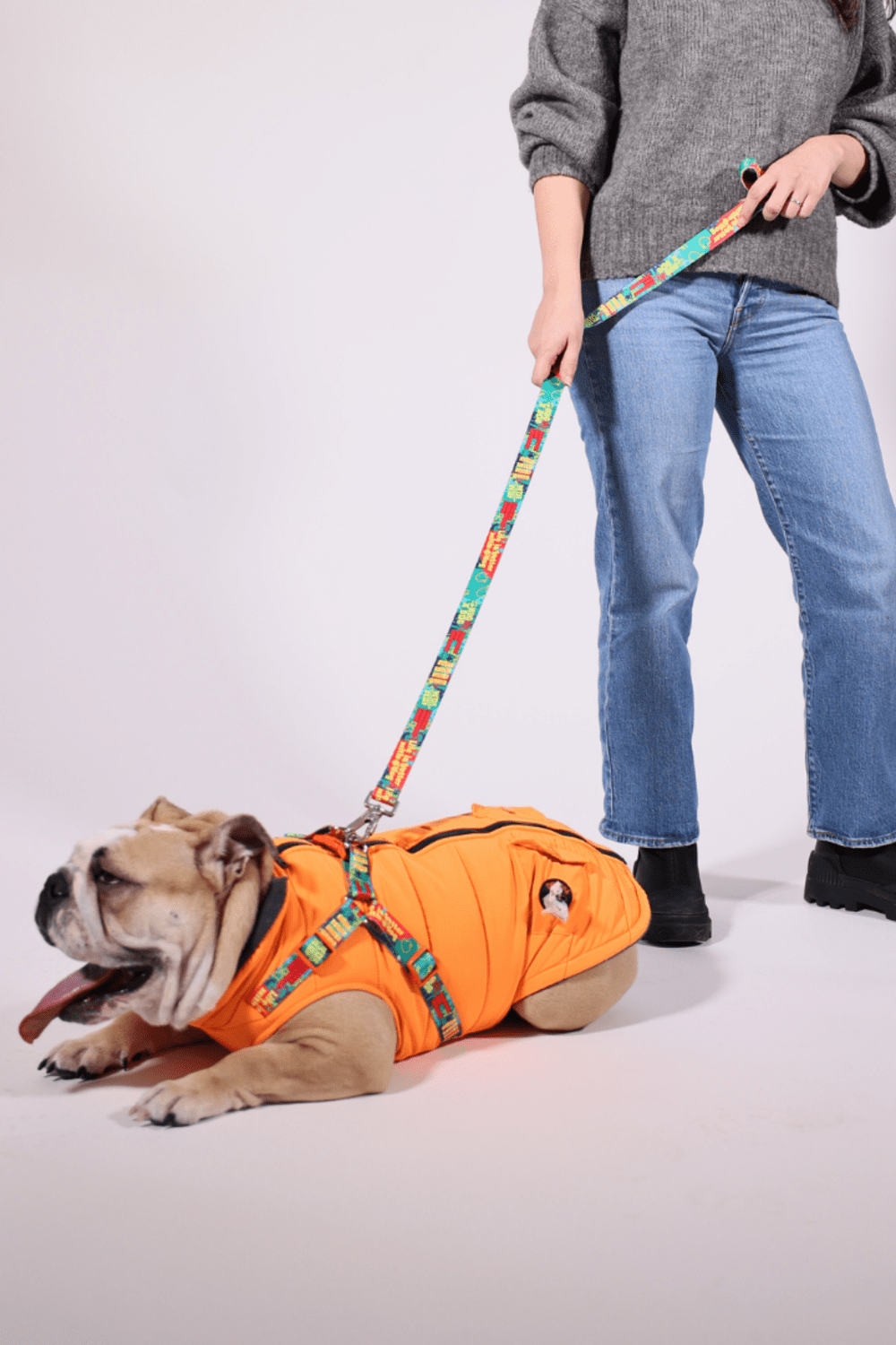 Pawlook-Pawlook , Göğüs Tasmalı, Köpek Montu, Köpek Yağmurluğu, Turuncu-Köpek-1-roqelvaxirum.shop