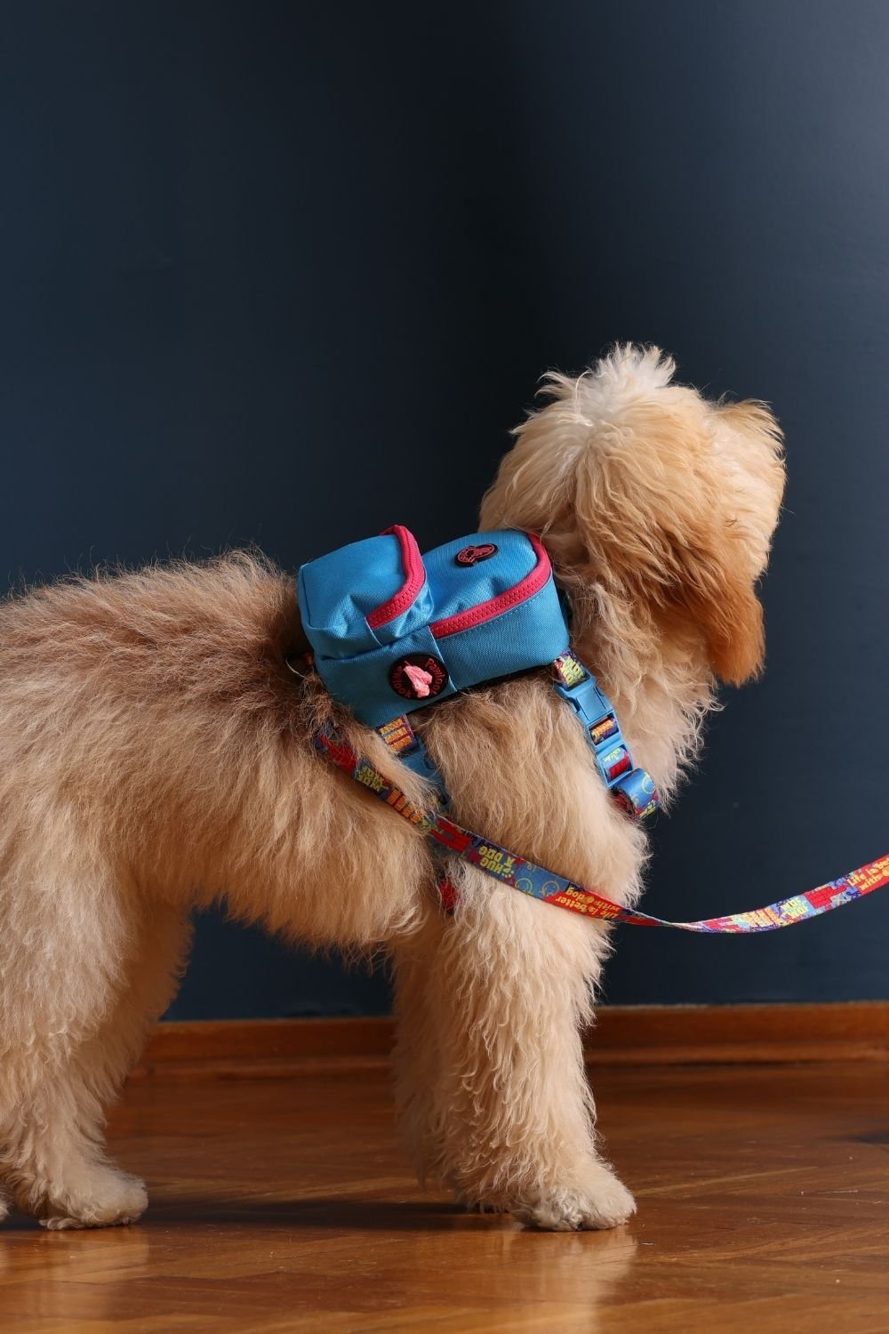 Pawlook-Pawlook, Köpek Sırt Çantası, Köpek Göğüs Tasması, Mavi-Köpek-5-roqelvaxirum.shop