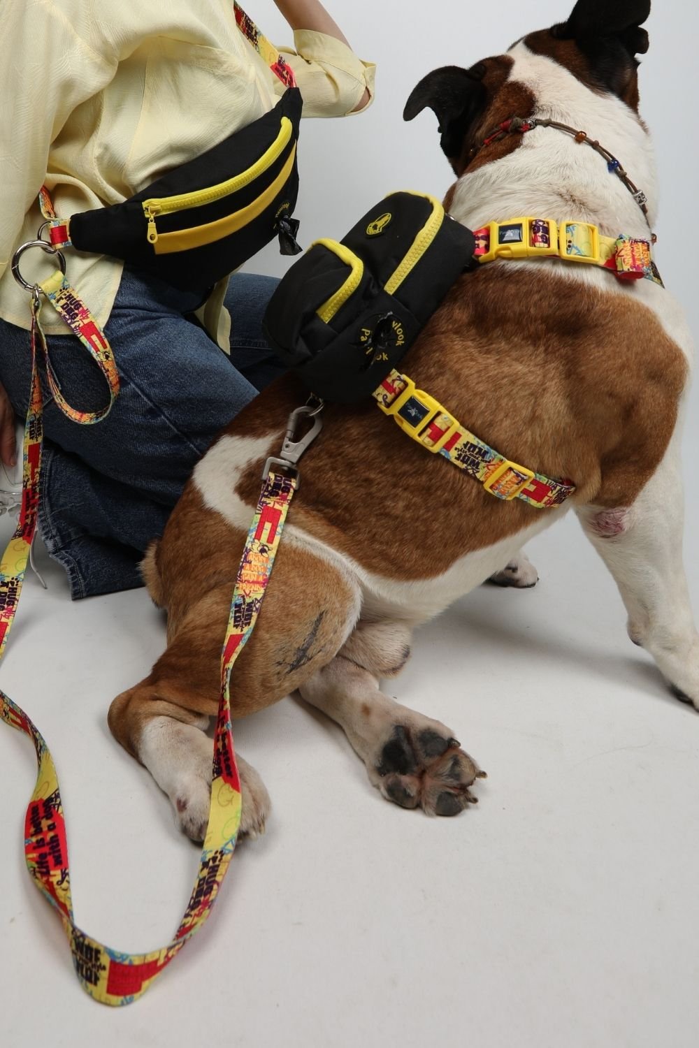 Pawlook-Pawlook , Siyah, Handsfree, Gezdirme Tasması, Eller Serbest, Gezdirme Kayışı, Handsfree Tasma-Köpek-1-roqelvaxirum.shop